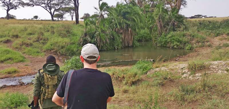 Fly. Safari.