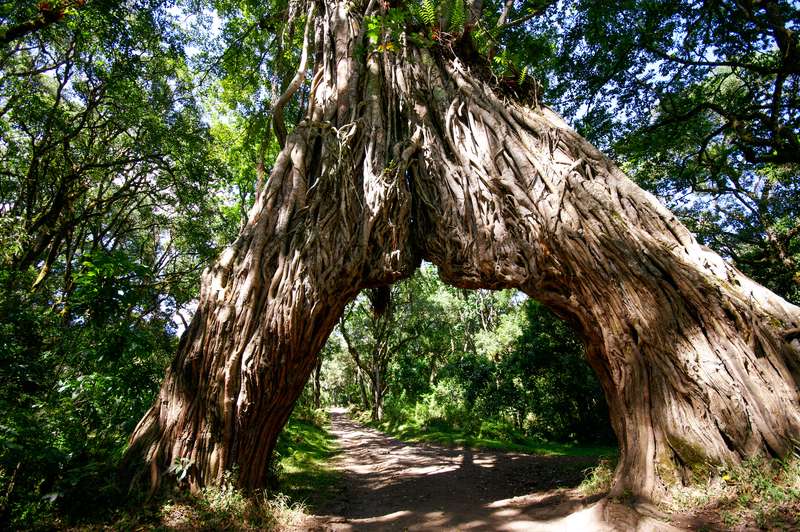 Arusha Nationalpark in Tansania