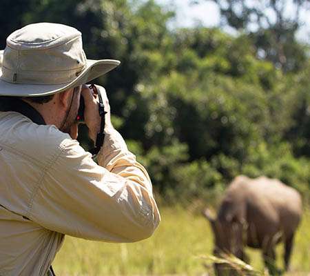 Walking Safari